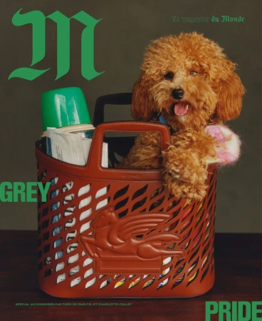 Magazine cover featuring a brown poodle in a brown tote bag filled with various objects, alongside green and grey text on a neutral background.