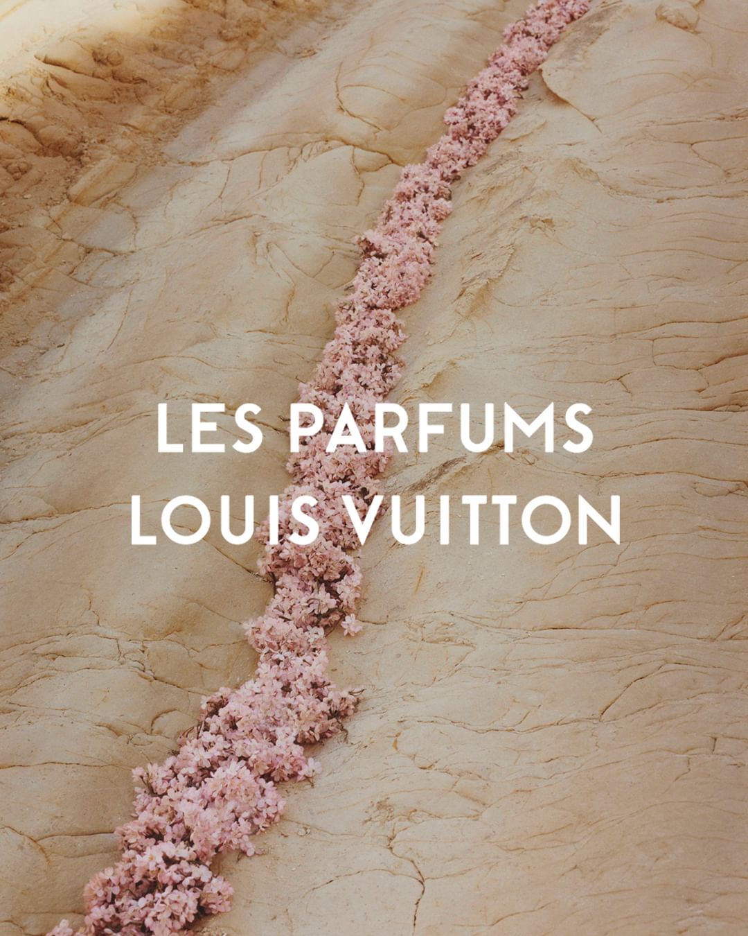 Louis Vuitton perfume advert featuring pink flowers arranged in a stream-like pattern on a tan, rocky background with visible brand text.