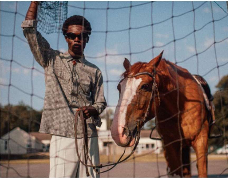 Man in western-style shirt stands with brown horse in a rural, sunlit setting, viewed through a chain-link fence.