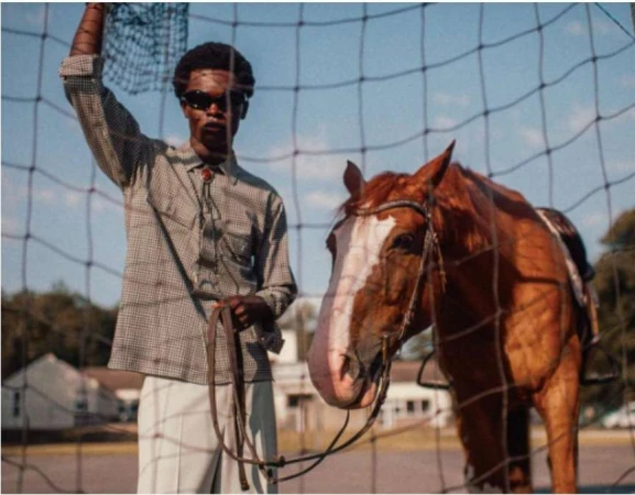Man in western-style shirt stands with brown horse in a rural, sunlit setting, viewed through a chain-link fence.