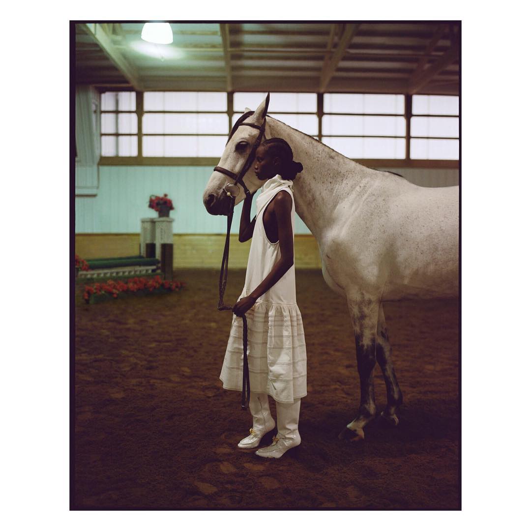 An adult woman in a dress is standing indoors next to a white horse with riding gear, posed on a dark brown surface. 