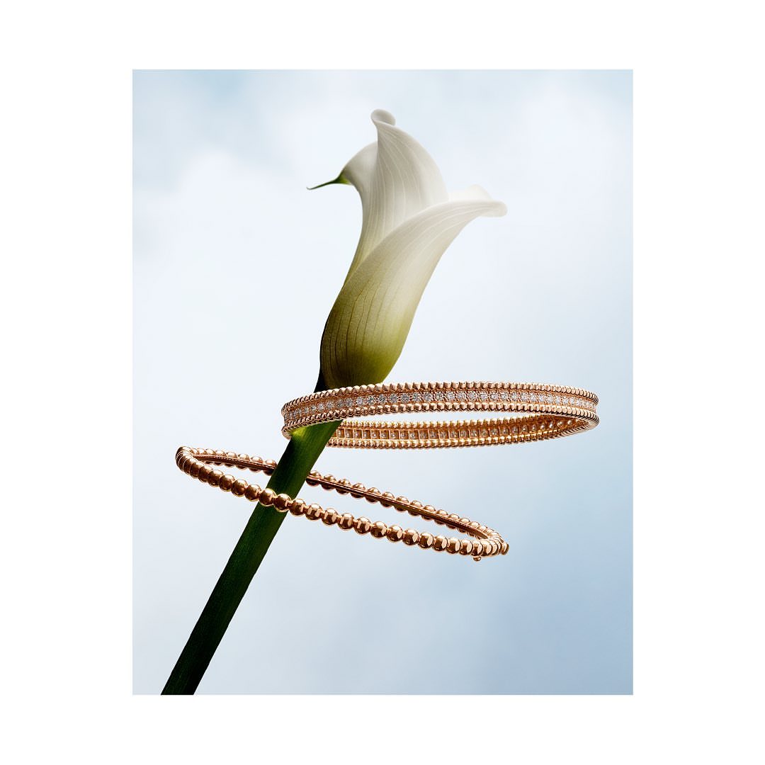 Elegant jewellery product shot: two rose gold bracelets wrapped around a white calla lily against a light blue and white background.