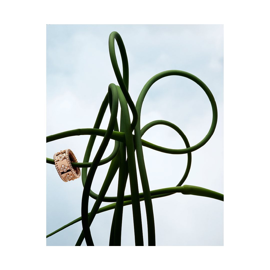 Rose gold ring showcased with green garlic scape curls against a bright cloudy sky background in an outdoor fashion shot.