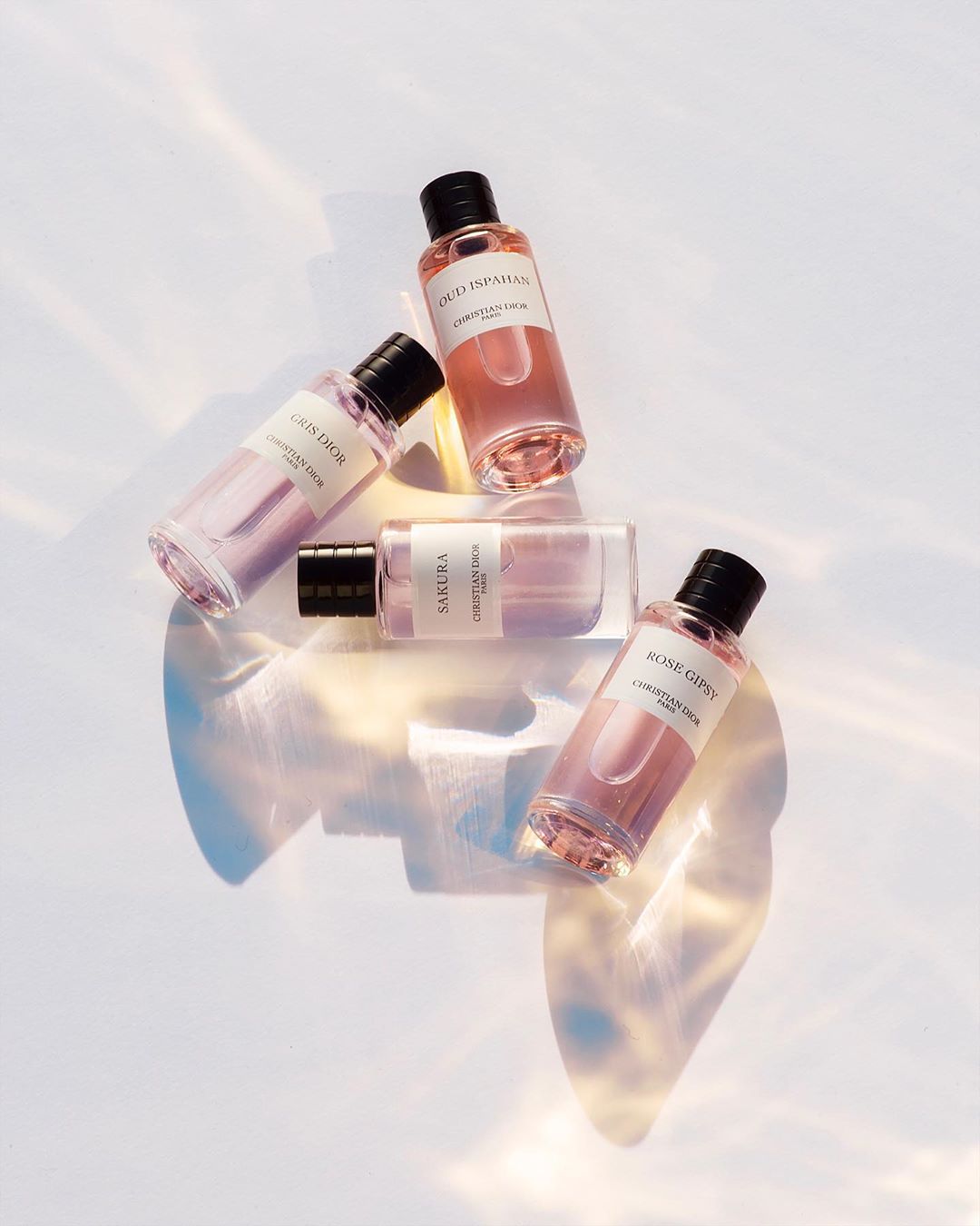 Overhead shot of four Dior perfume bottles with black caps, filled with various pink-tinted liquids, casting shadows on a white surface.