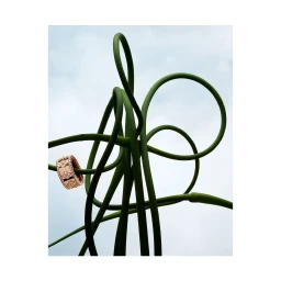Close-up of a studded rose gold ring suspended on tangled green stems against a bright cloudy sky.