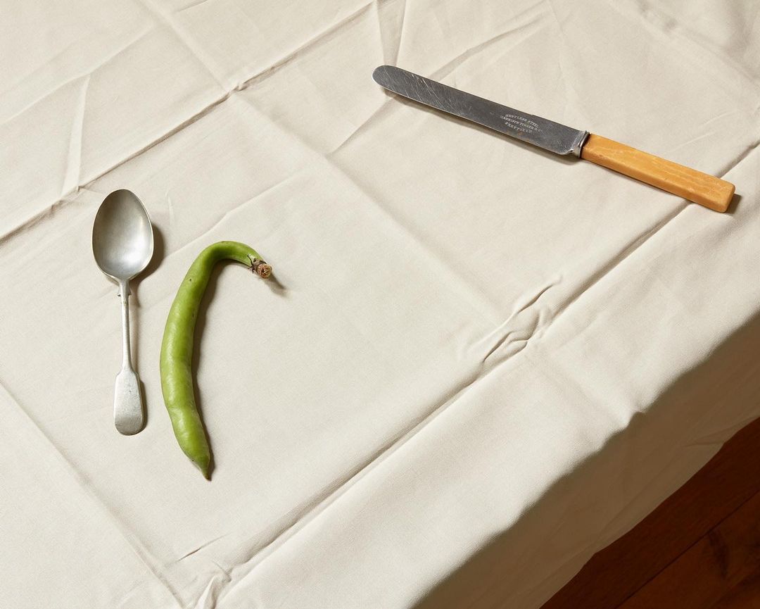 Overhead shot of a green bean, silver spoon, and knife with a wooden handle on a white linen tablecloth indoors.