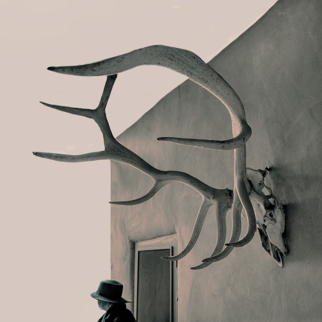 Deer antlers and skull mounted on a wall next to a door, with an adult wearing a hat visible near the bottom left of the frame.