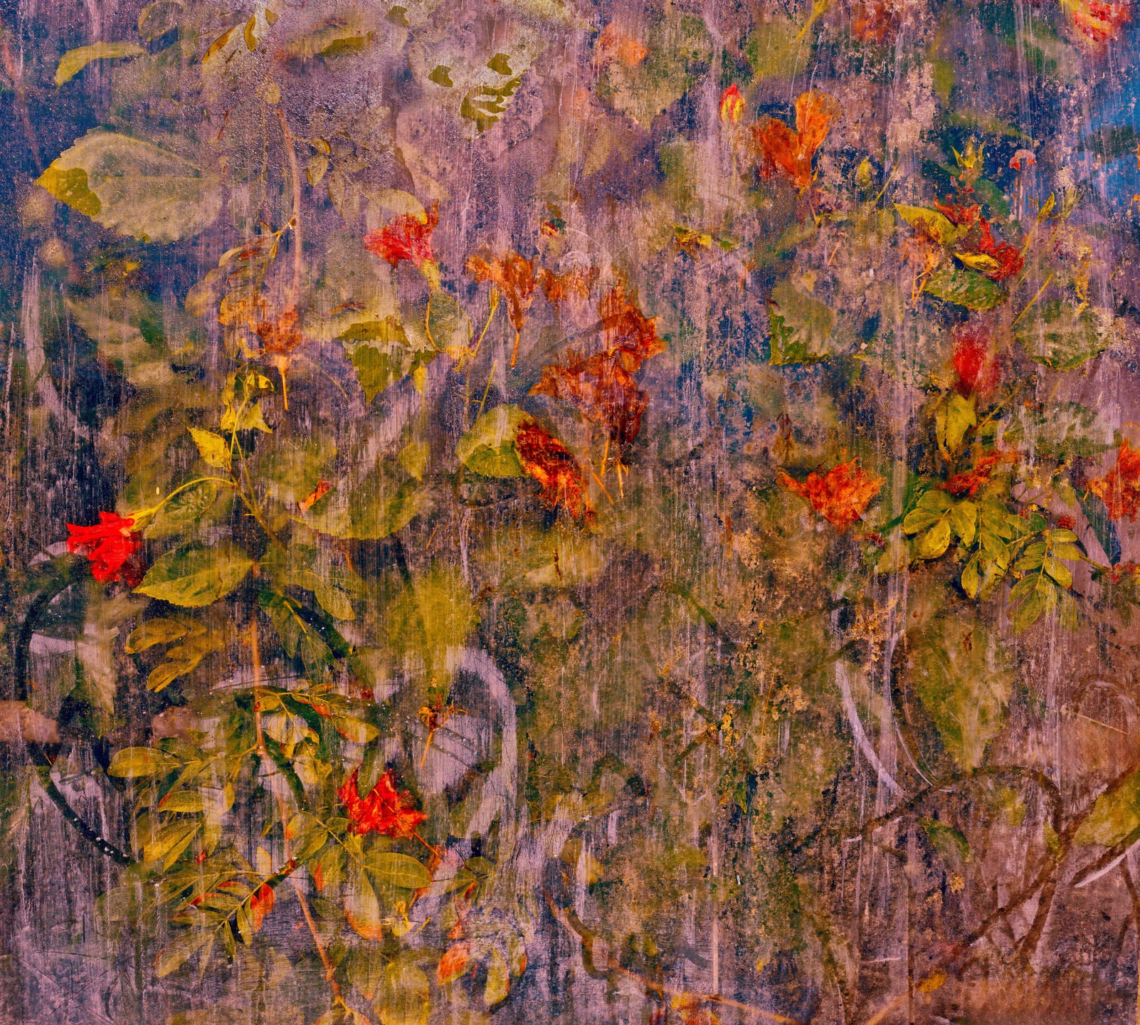 Abstract floral artwork with vibrant red and orange flowers interspersed with green foliage against a painterly, textured background.