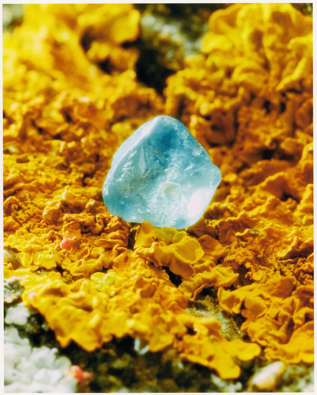 Close-up of a light blue mineral specimen with rounded edges sitting on a textured yellow and grey mineral surface in a studio setting.