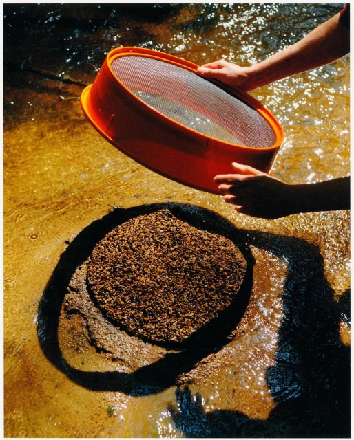 Person using a sifter to pan for gold in a river. Hands hold an orange sifter over a dark pile of possible gold flakes in river water.