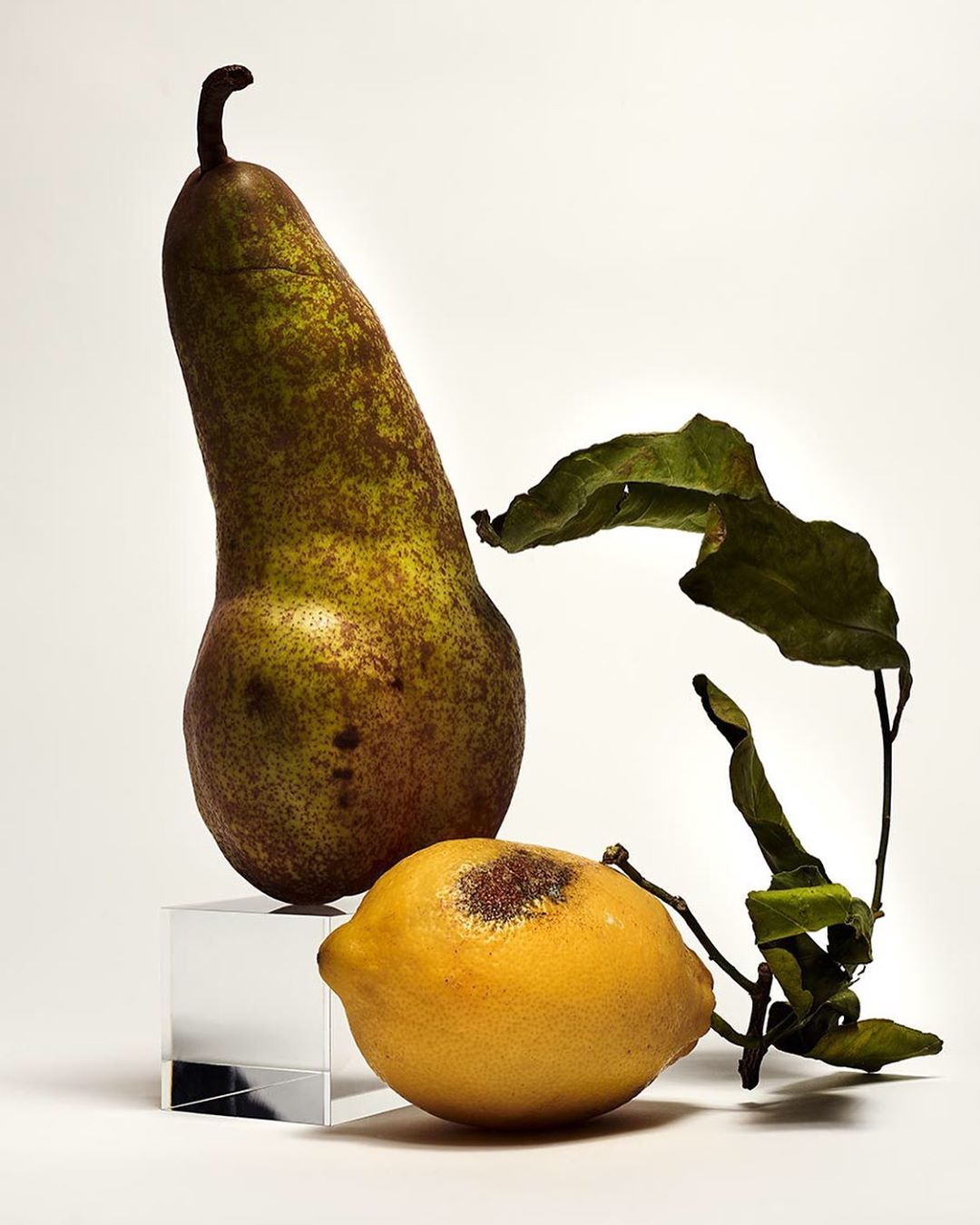Still life shot of a pear on a clear block, a lemon, and leafy branch against a white background, creating a clean, modern aesthetic.