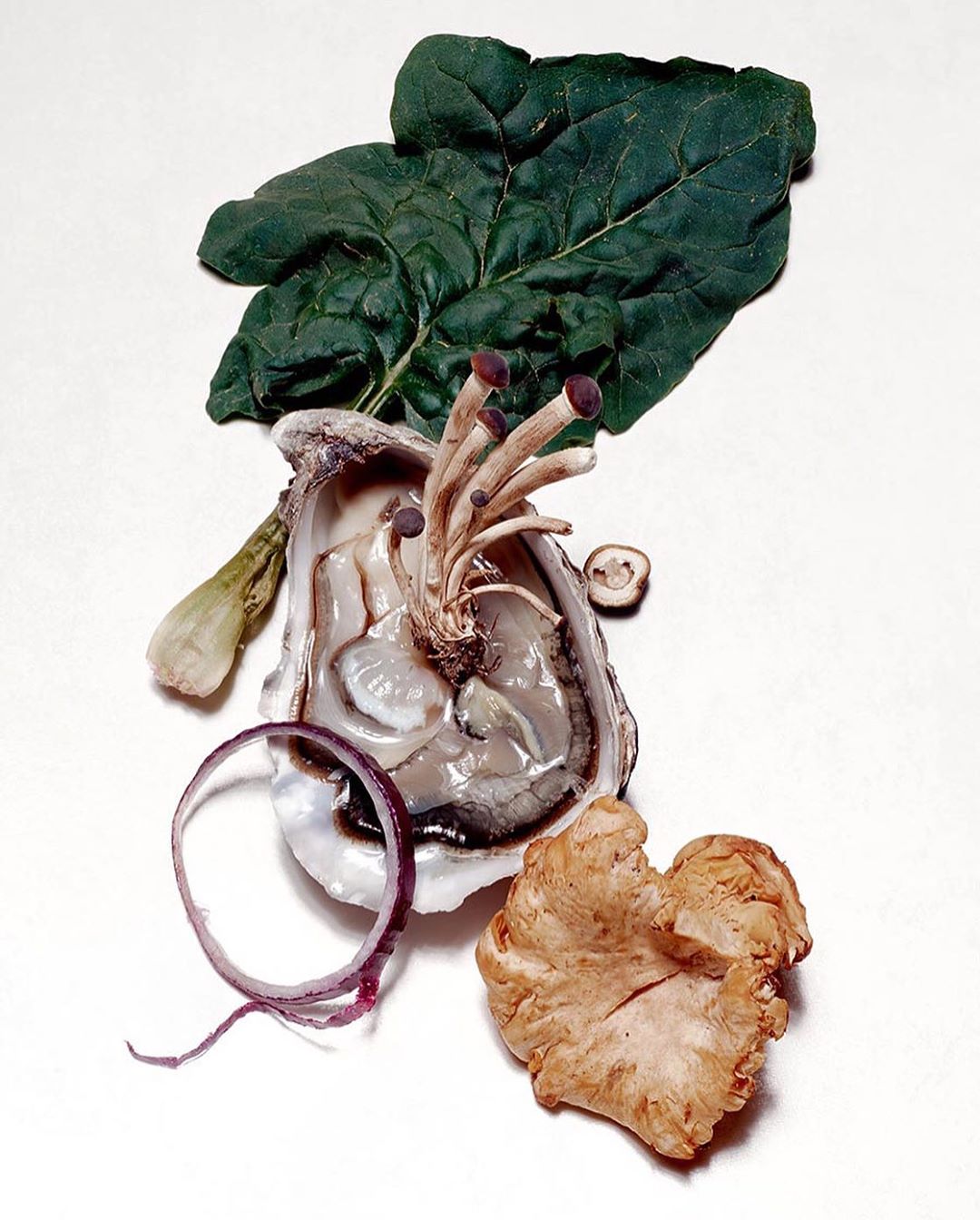 Still life of oyster shell with mushrooms, spinach leaf, onion ring and other vegetables on a white background in studio lighting.