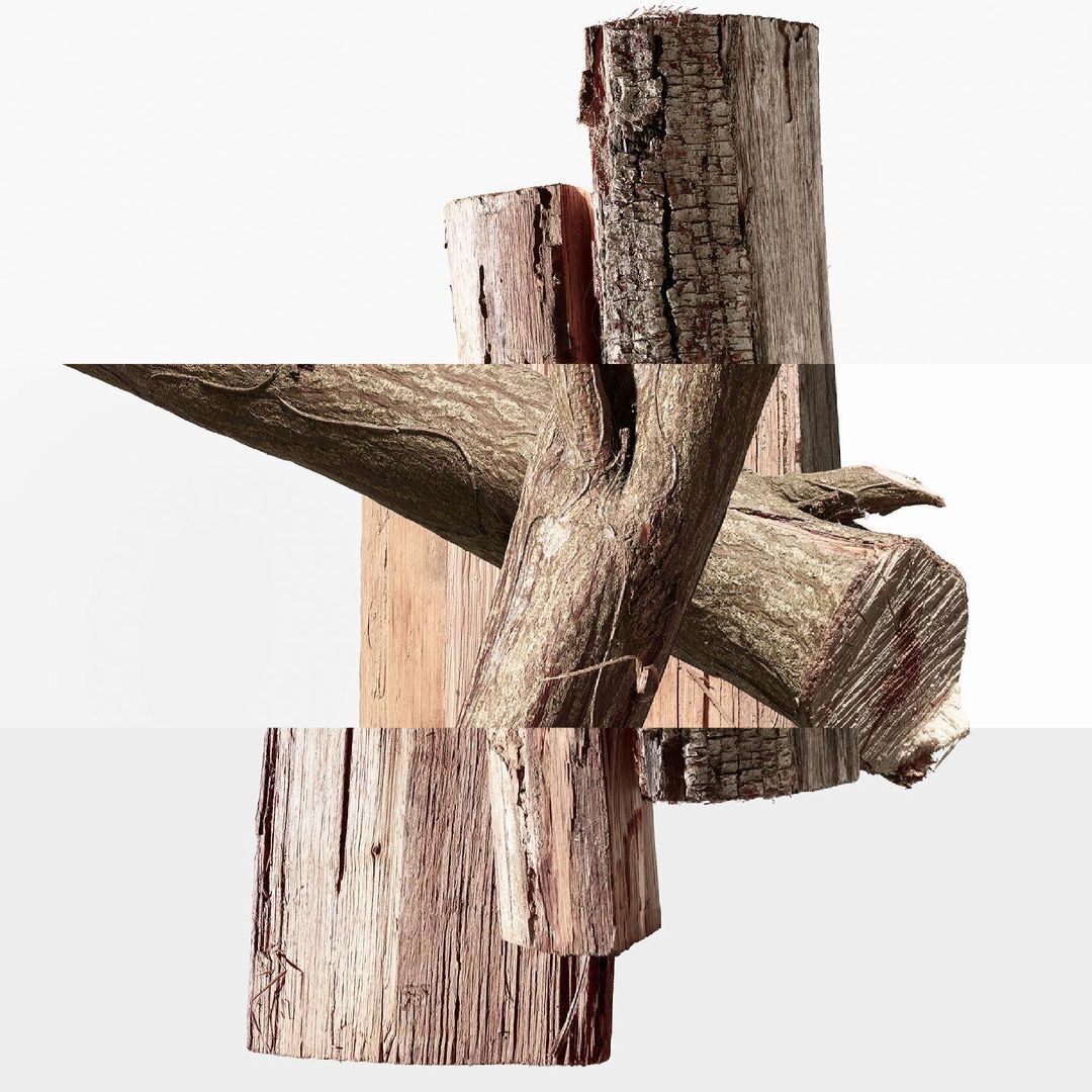Abstract collage of wood featuring tree trunks and branches, showcasing textures and patterns against a stark white backdrop.