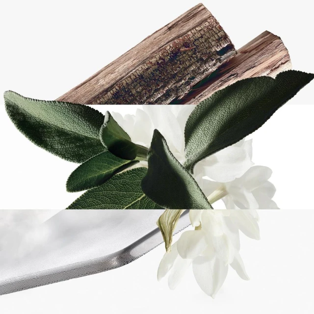 Close-up studio shot with white flowers, green leaves, a silver ribbon, and textured wood pieces against a white backdrop.