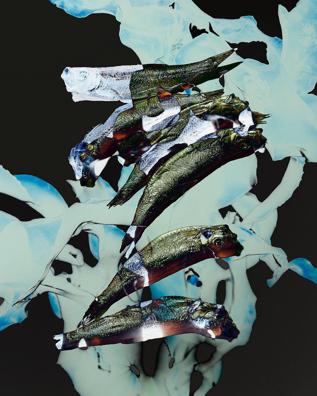 Abstract composition with multiple fish overlaid and arranged in a stack on a mottled blue-white and black background, digital art.