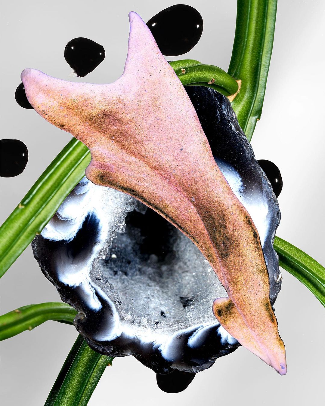 Abstract image featuring a geode slice, pink shell fragment, green stems, and scattered dark drops against a pale background.