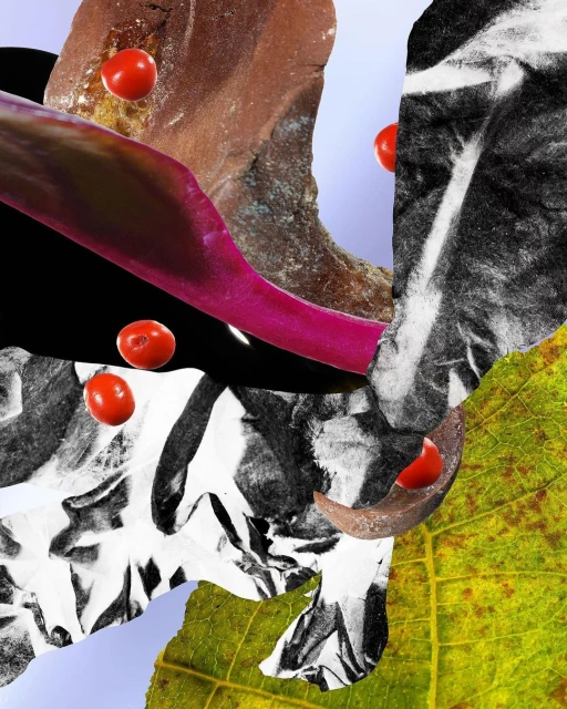 Abstract collage featuring leaves, stones, and small red berries against a pale blue backdrop. Dark and light tones create contrast.