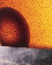 Close-up abstract macro photography featuring speckled golden amber textures and a dark curved shadow form.