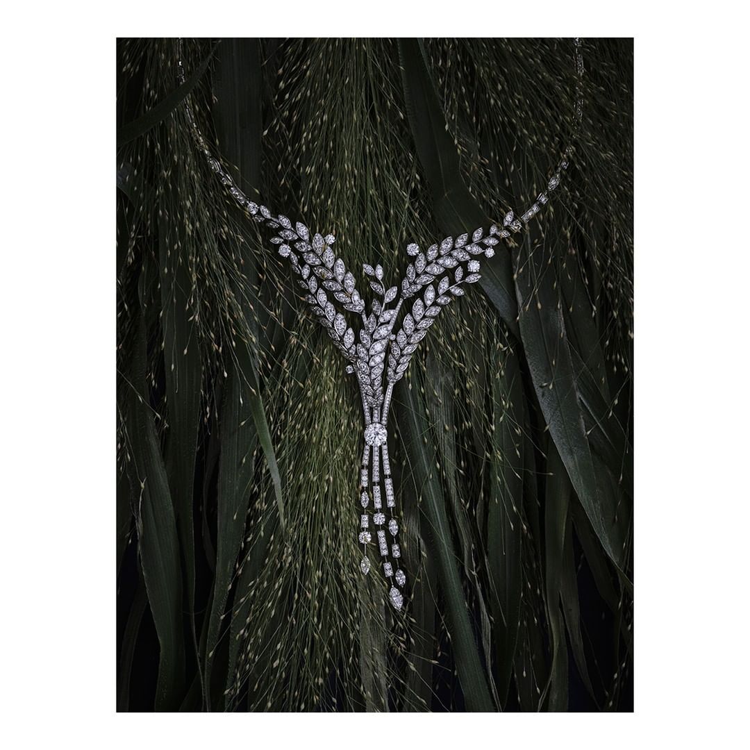 Close-up of a sparkling diamond necklace with leaf-like patterns on a bed of green grasses. Jewellery advertisement or product photography.