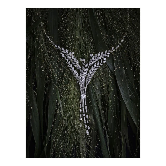 Close-up of a sparkling diamond necklace with leaf-like patterns on a bed of green grasses. Jewellery advertisement or product photography.