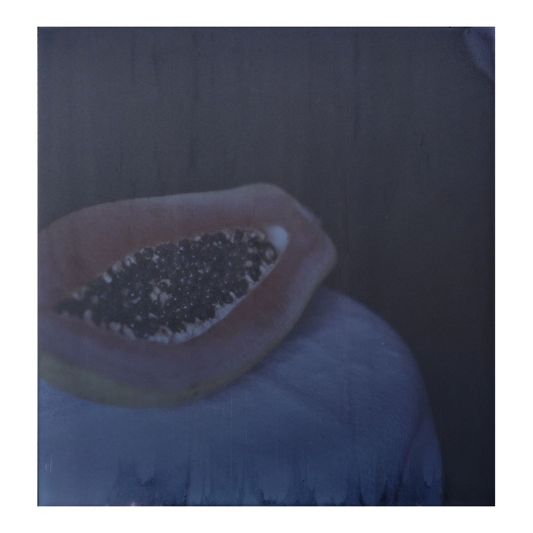 Oil painting of a halved papaya on a white cloth. The papaya has a peach-colored skin and many black seeds. The background is dark.