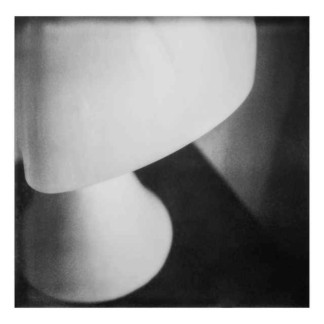 Monochrome abstract composition featuring two rounded shapes with gradient lighting, showcasing smooth textures and a minimalist aesthetic.