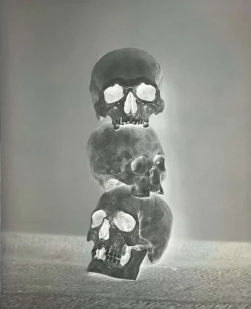 Thomas Hauser