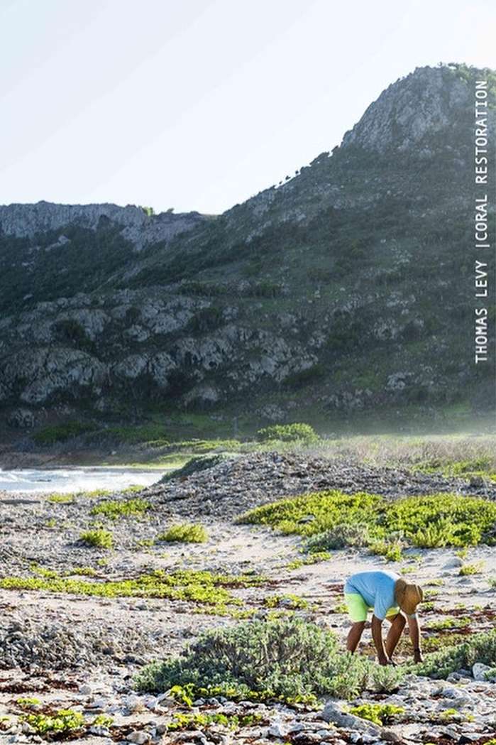 Person working on a rocky shore with vegetation, with a view of mountains in the background on a bright sunny day.