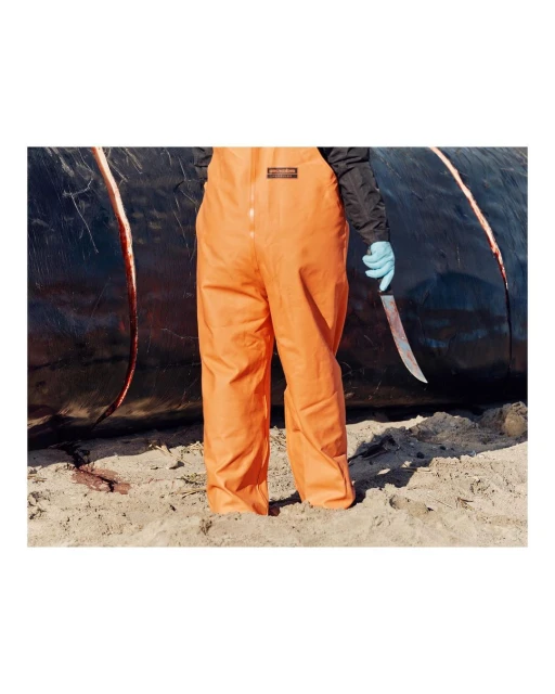 Person in orange coveralls stands near a dead whale on a beach, holding a knife with a blue-gloved hand in an outdoor setting.