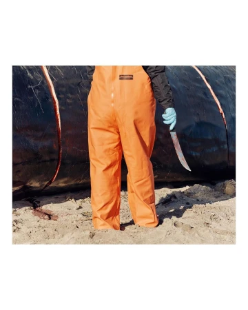 Person in orange coveralls stands near a dead whale on a beach, holding a knife with a blue-gloved hand in an outdoor setting.