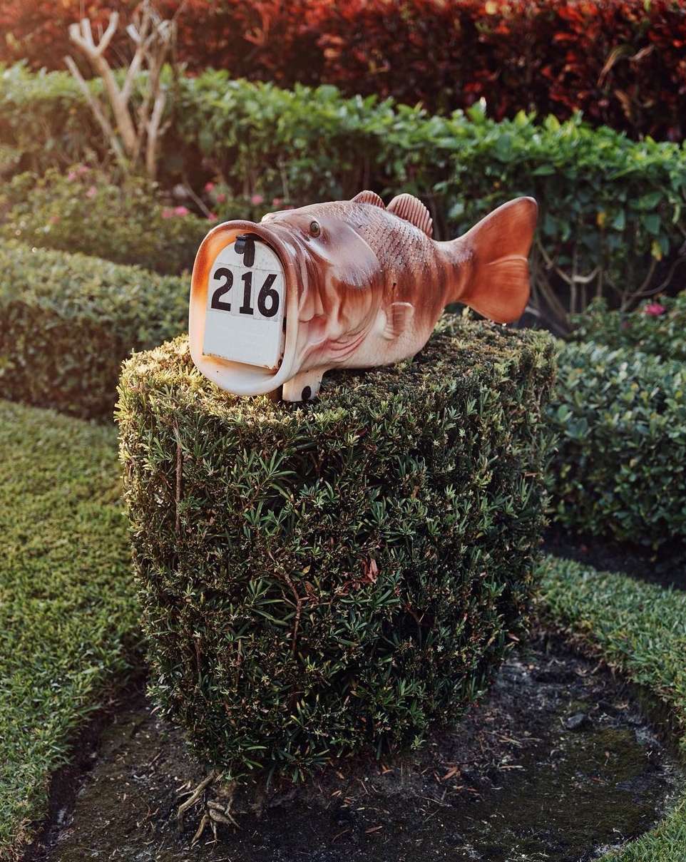 Decorative fish mailbox with the number 216 on a carved bush in a garden setting with green grass and colorful plants in the background.
