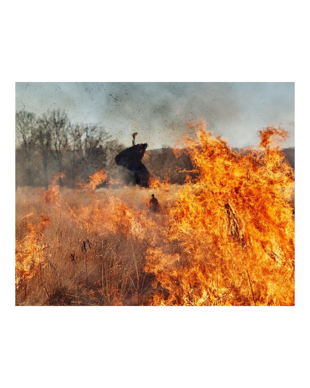 A field burns with intense orange flames, two figures visible in the distance amidst smoke and trees, creating a dramatic, natural scene.