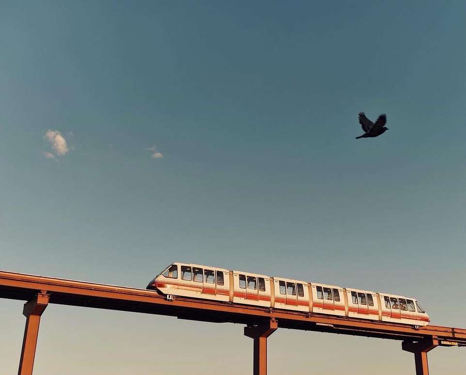 A monorail train travels along an elevated track against a blue sky, accompanied by a bird in flight.
