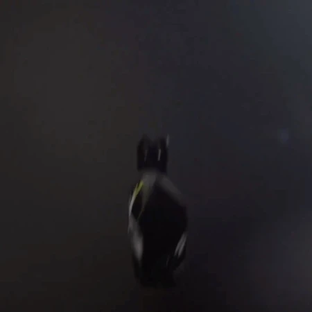 Overhead studio shot of a black computer gaming mouse on a dark surface with subtle gray lighting, creating a minimalist aesthetic.
