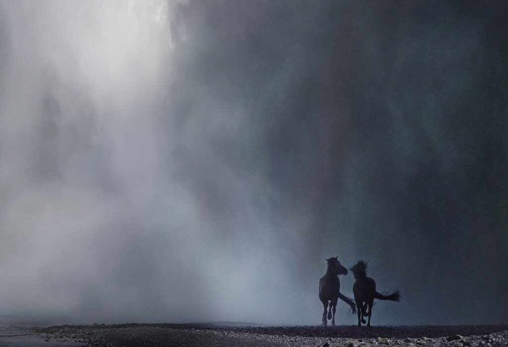 Two dark horses gallop across a rocky landscape shrouded in mist, set against a dark, muted sky, creating a dramatic scene.