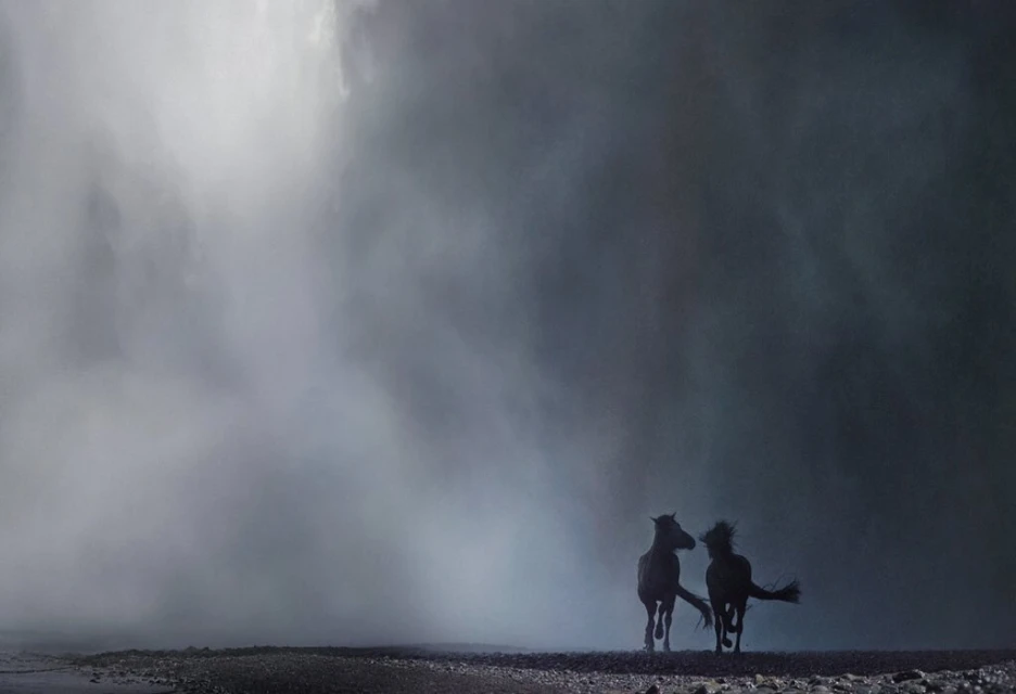 Two dark horses gallop across a rocky landscape shrouded in mist, set against a dark, muted sky, creating a dramatic scene.