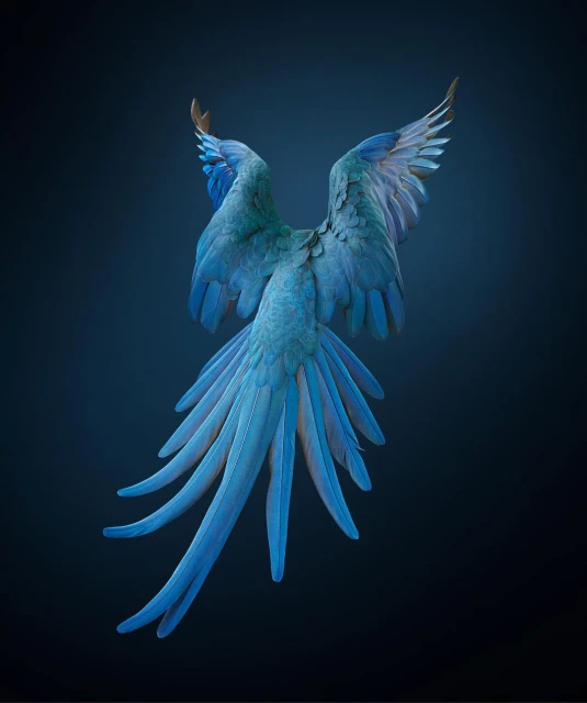Striking studio shot of iridescent blue feathers against a dark background, showcasing intricate texture and vibrant color gradients.