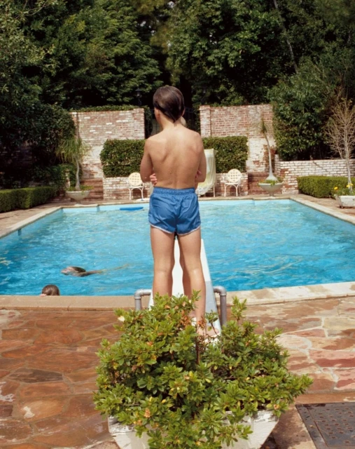 A young boy in blue swim trunks stands on a slide next to a swimming pool on a sunny day, viewed from the back, with green foliage.