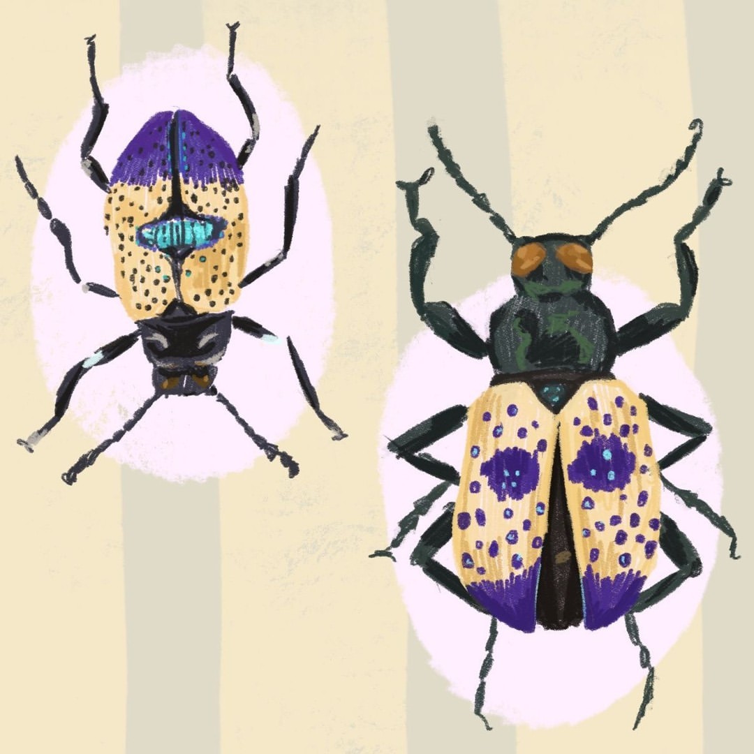 Two illustrations of beetles with colorful markings on a striped beige background with pale pink circular accents. Hand drawn or digital painting.