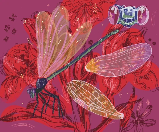 Illustration of a dragonfly with transparent wings, depicted among red floral elements against a pink backdrop in a digital painting style.