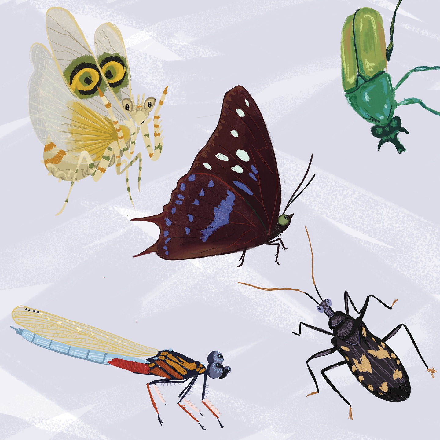 Illustration of five colourful insects including a butterfly, praying mantis, dragonfly, and beetles on a light gray background.