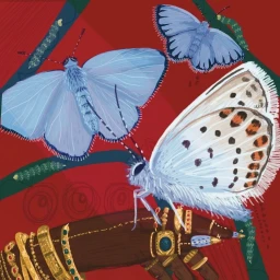 Illustration by Tinuke Fagborun featuring three blue butterflies and an adorned arm with gold jewelry against a red patterned background.