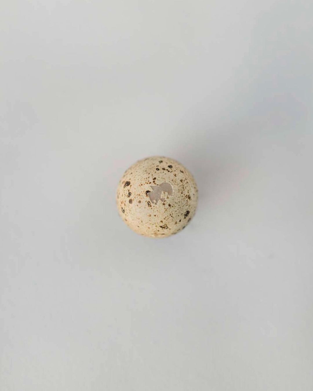 Close-up overhead shot of a speckled bird egg with a hole on a clean, white background. Studio lighting captures the egg's details.