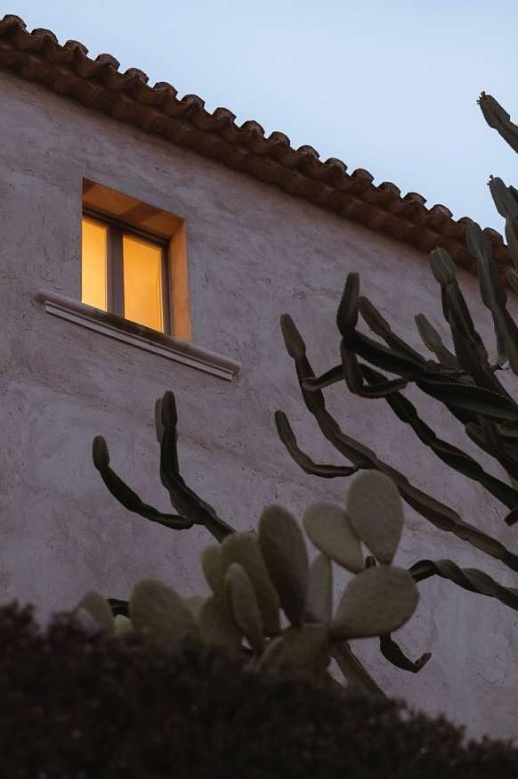 Exterior view of building with glowing window and cactus plants, showcasing architecture, illumination, and desert flora.