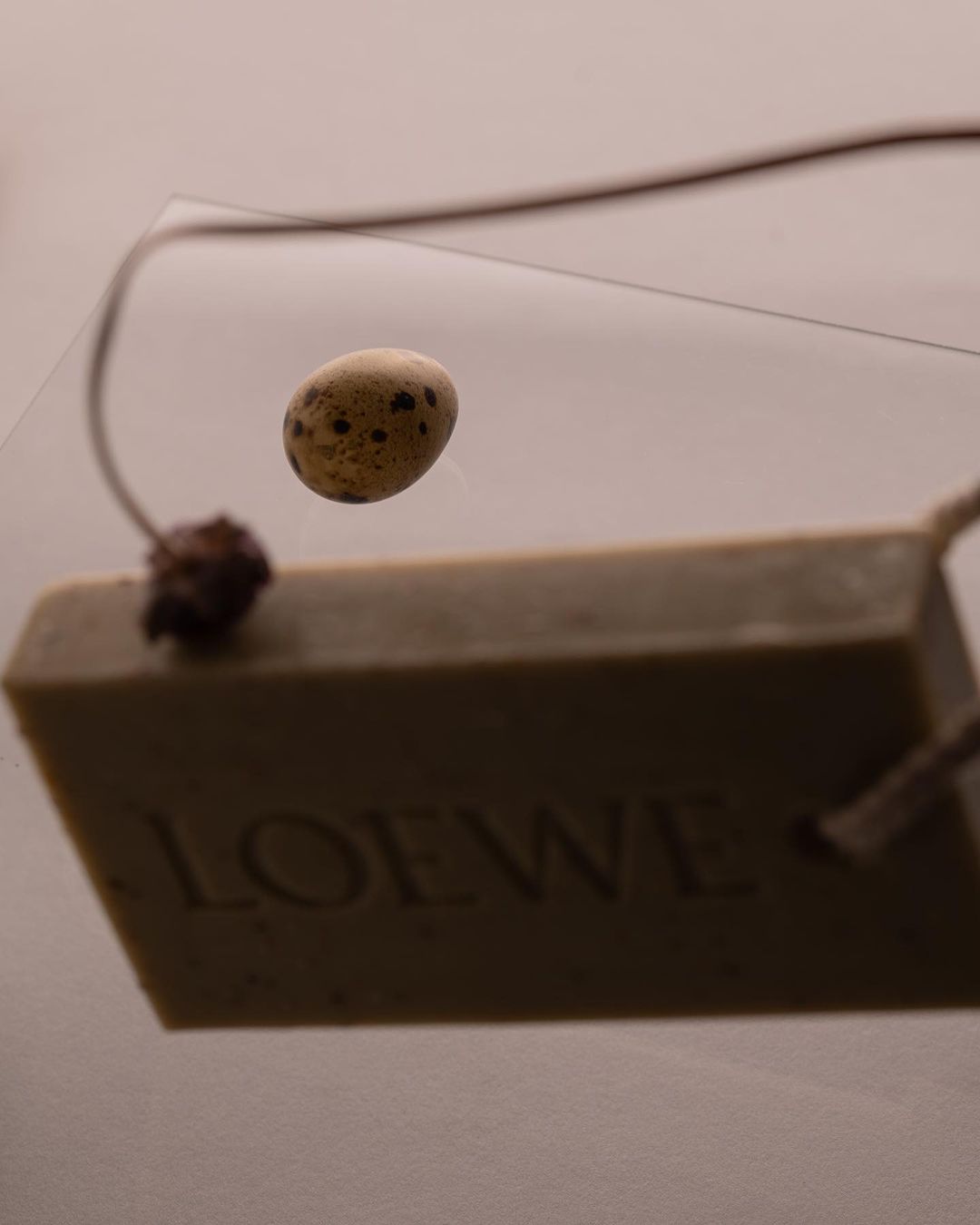 Still life photograph of a bird egg on a string above a light green bar of Loewe soap on a solid color background.