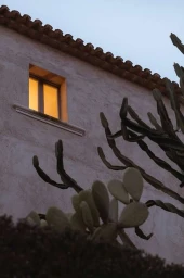 Low angle view of a rustic stucco building exterior with a lit window and cacti in the foreground at dusk.