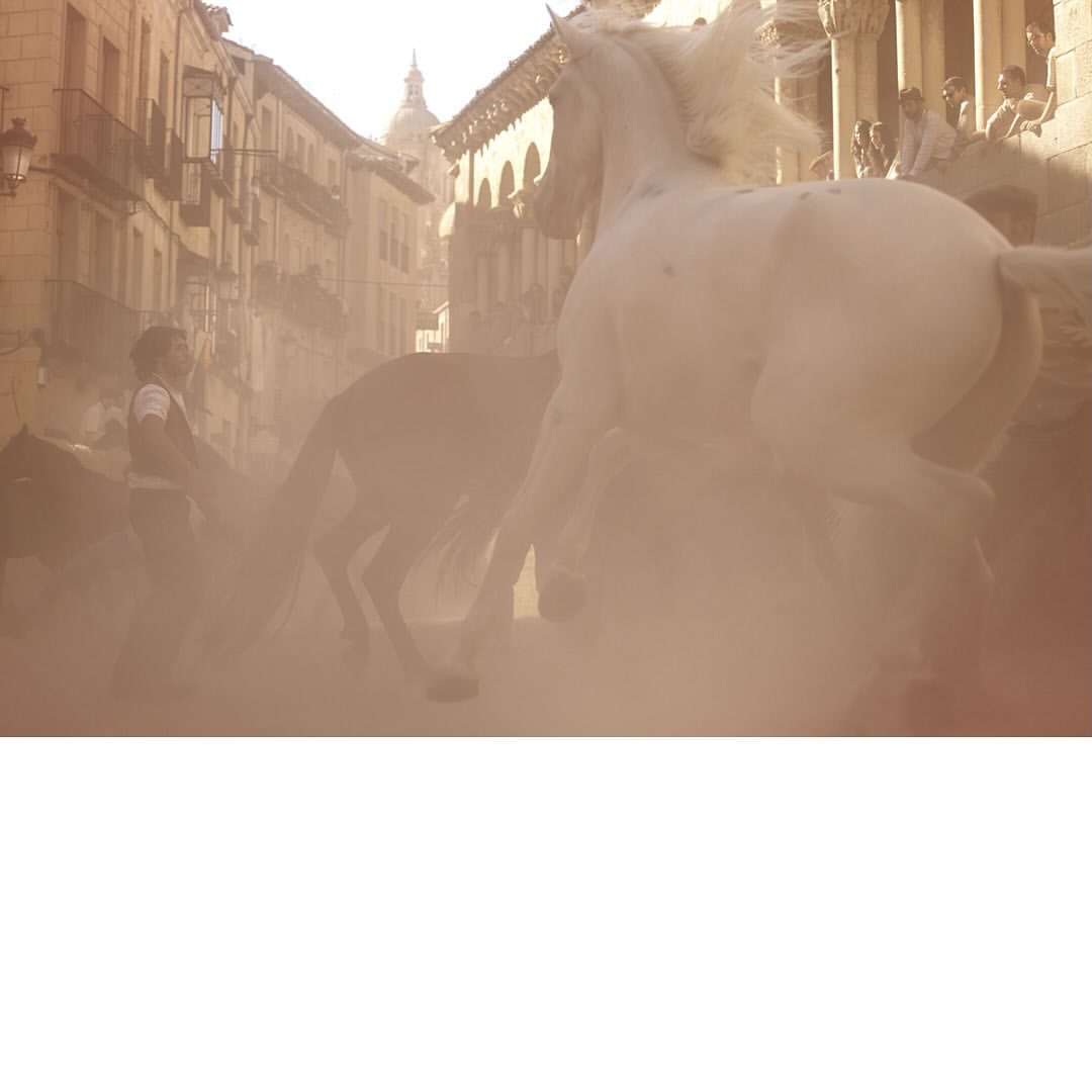 White horse gallops through a dusty street in a town, capturing the scene with bystanders and historic buildings in the background.