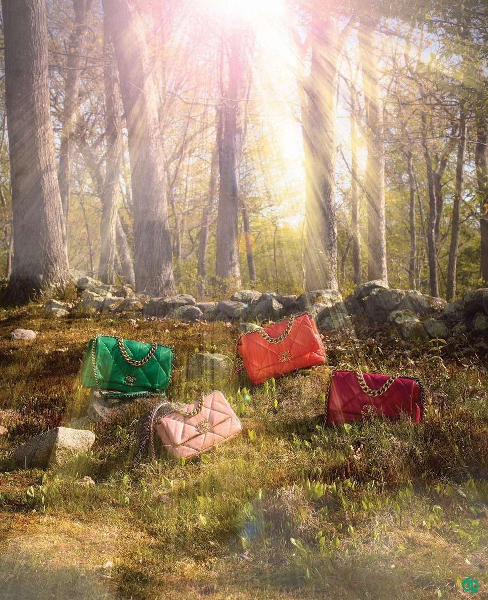 Assorted quilted leather handbags with gold chain straps displayed on a grassy forest floor with sunlight streaming through the trees.