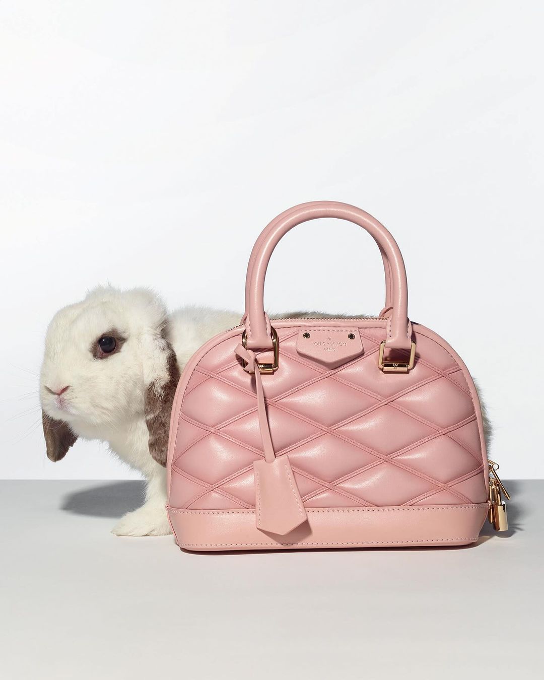 Close-up studio shot of a lop-eared rabbit next to a pink quilted leather handbag with gold hardware against a bright white background.