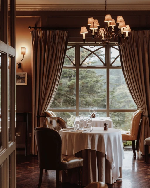 Formal dining room with set tables, upholstered chairs, chandelier, and large window overlooking an outdoor tree landscape.